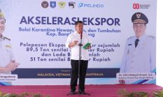 berita-pilihan-foto